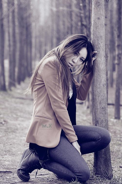 应用功能演示界面