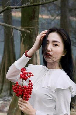 应用主界面展示